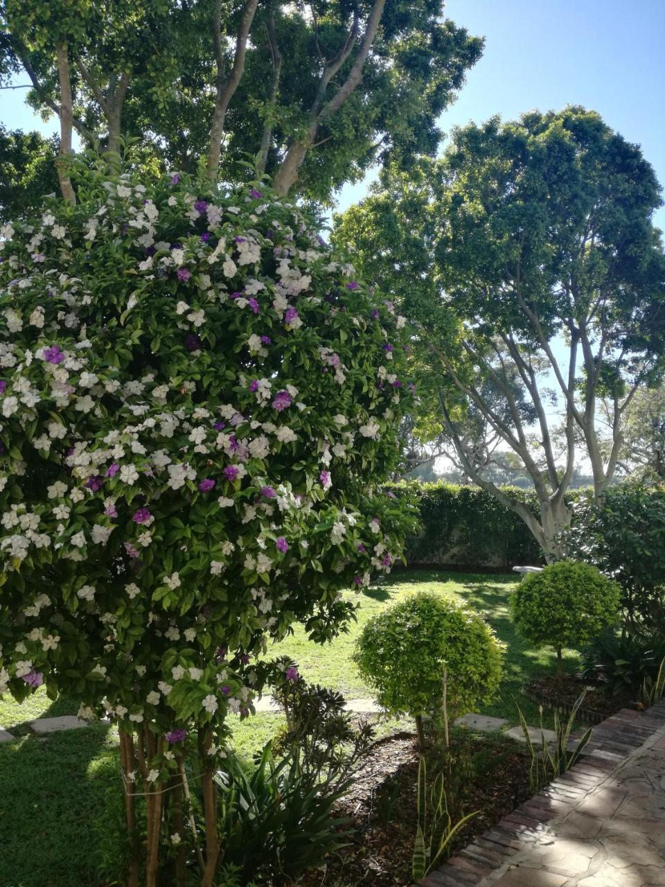 Chaston Manor Hotel Cape Town Ngoại thất bức ảnh