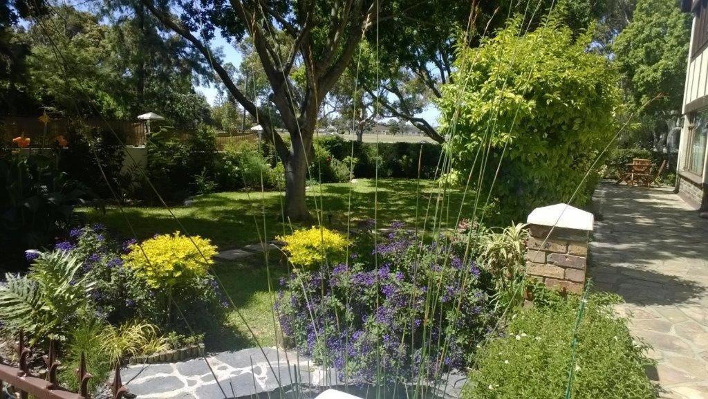 Chaston Manor Hotel Cape Town Ngoại thất bức ảnh