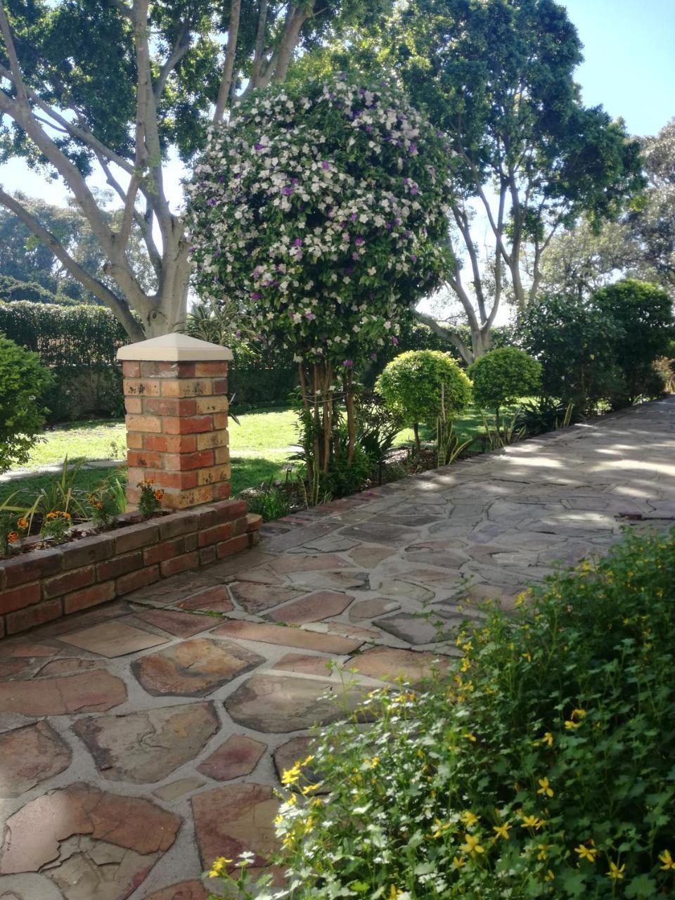 Chaston Manor Hotel Cape Town Ngoại thất bức ảnh